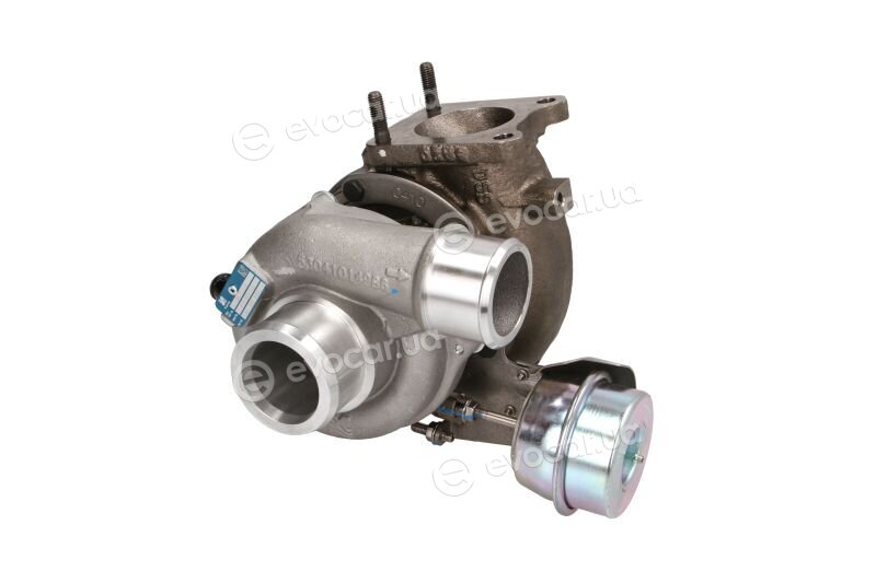 BorgWarner 53049880084