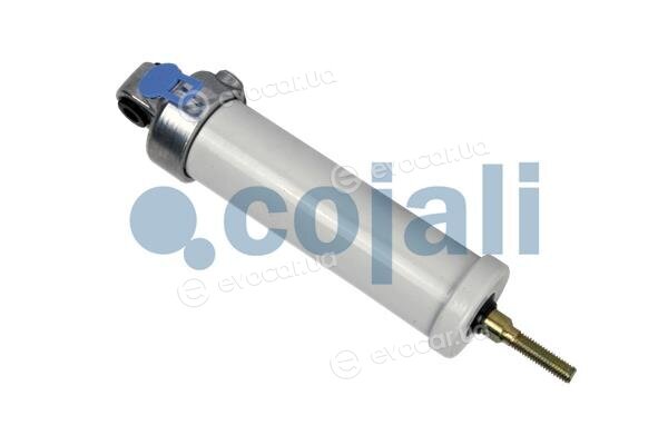 Cojali 2201203
