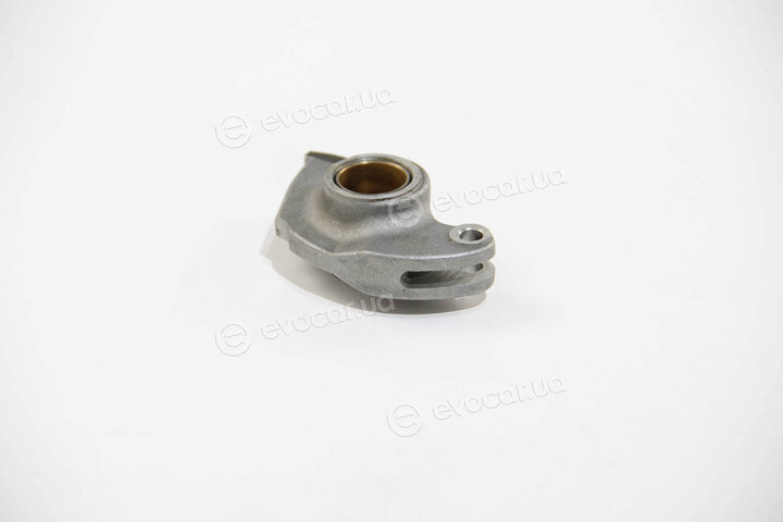 BGA RA0696