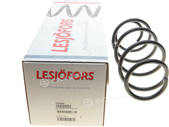 Lesjofors 4056886