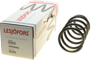Lesjofors 4226118