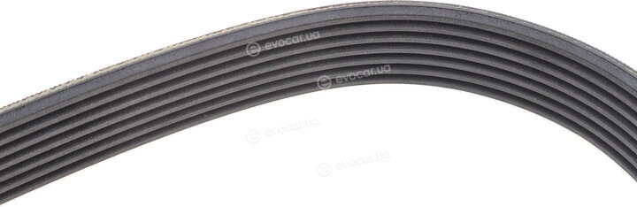 Continental 7PK1119 EXTRA