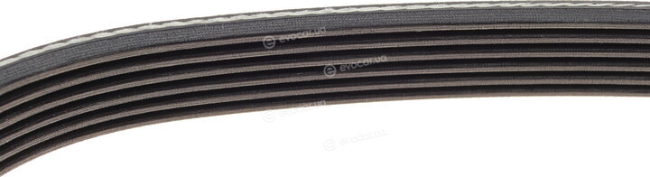 Dayco 6PK1195