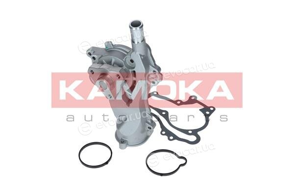 Kamoka T0224