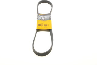 Continental 6PK1010