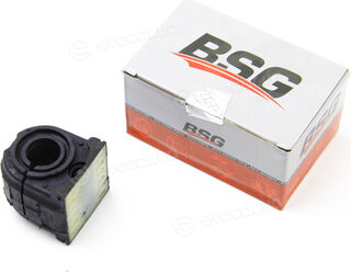 BSG BSG 60-700-110