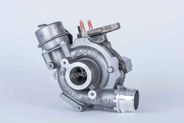 BorgWarner 54389880006