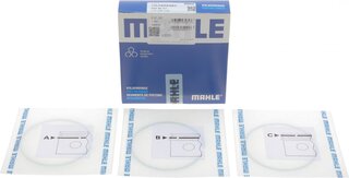 Mahle 030 90 N1