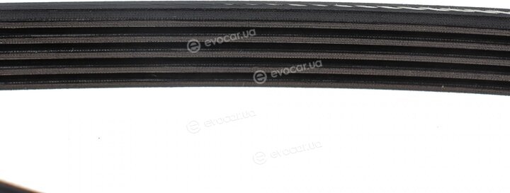 Dayco 5PK1188