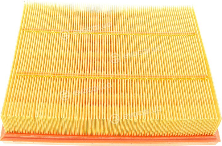 Mann C 25 035