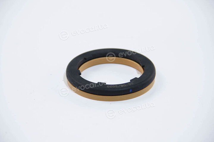 Rapro R54231