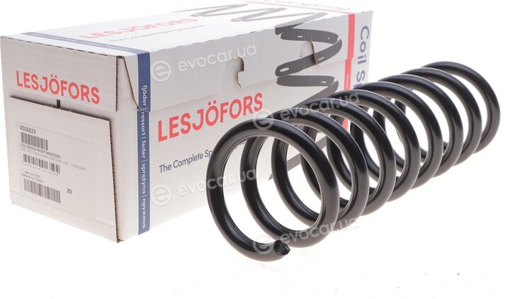 Lesjofors 4056823