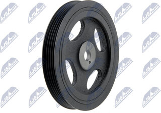 NTY RKP-MS-004