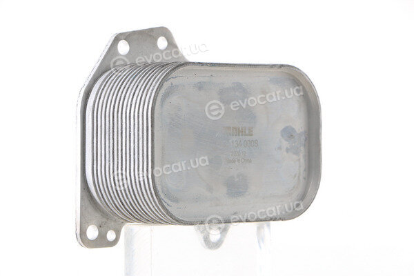 Mahle CLC 134 000S