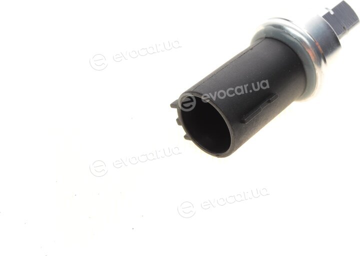 AIC 55238