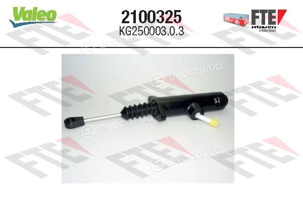 FTE 2100325