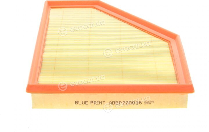 Blue Print ADBP220038