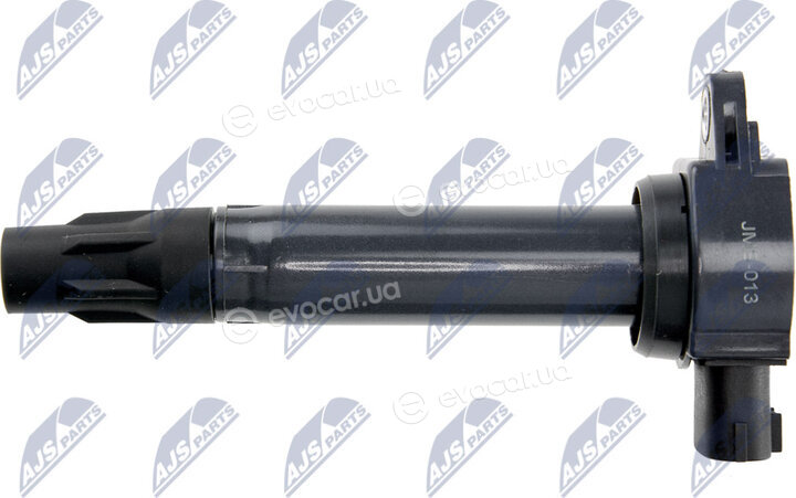 NTY ECZ-MS-013