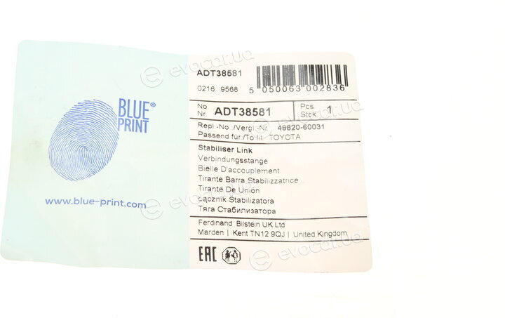 Blue Print ADT38581