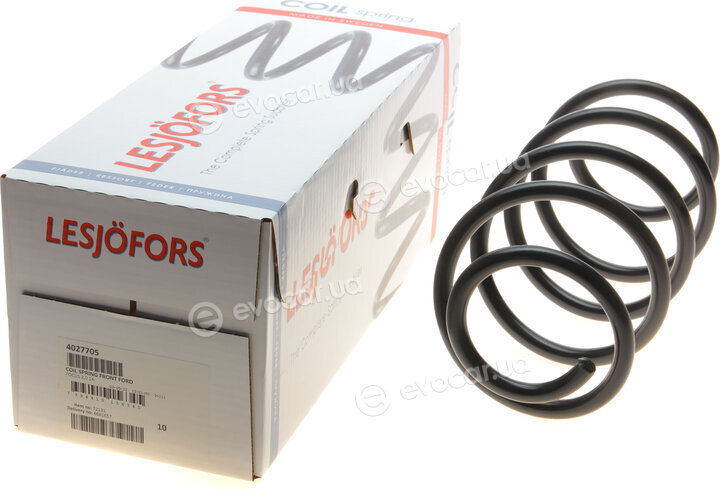 Lesjofors 4027705