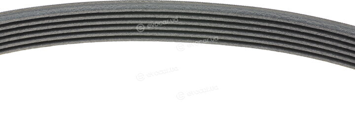Continental 6PK701 ELAST