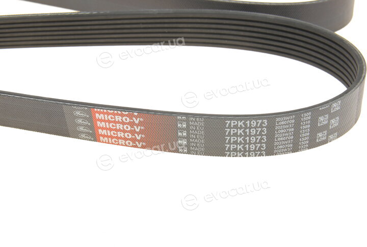 Gates 7PK1973