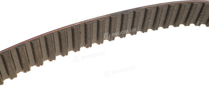 Gates K015557XS