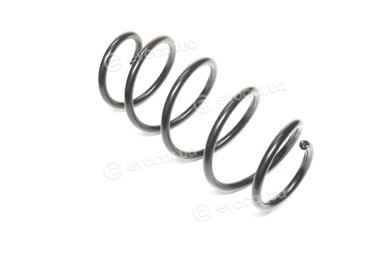 Lesjofors 4004296