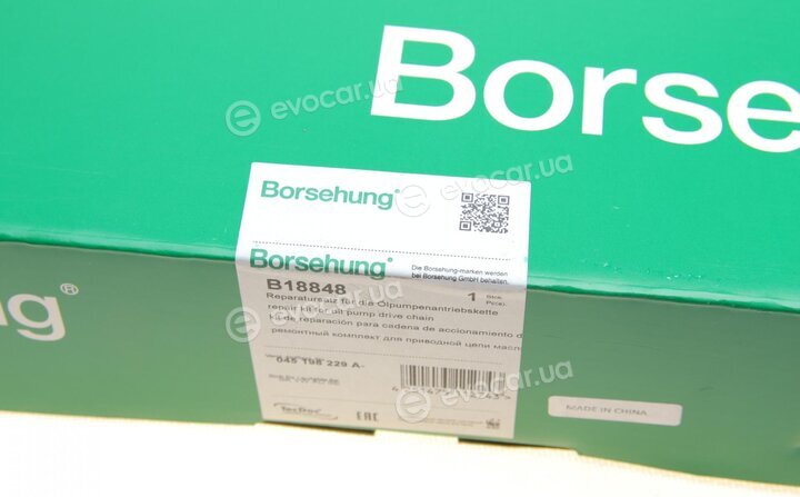 Borsehung B18848