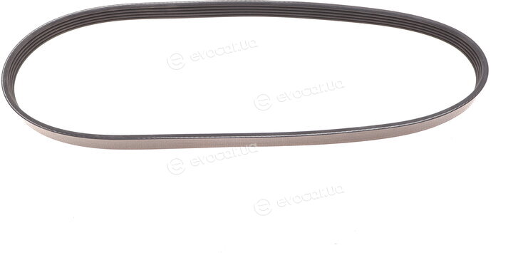 Dayco 5PK853