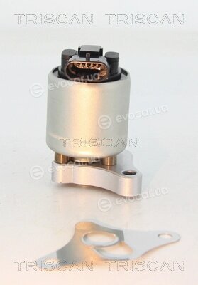 Triscan 8813 24002
