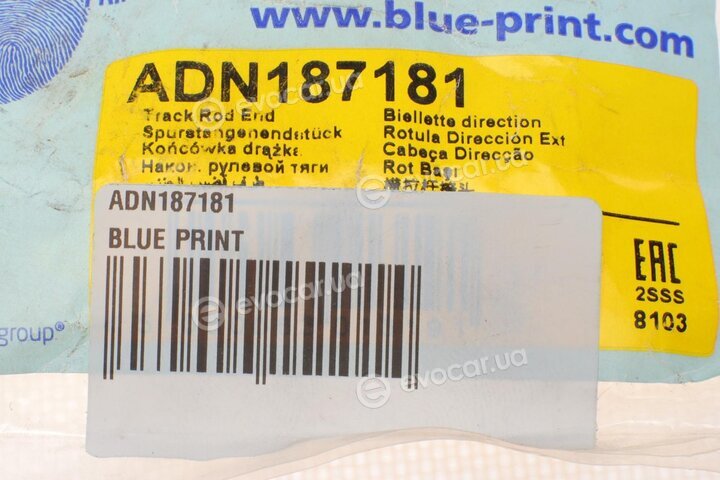 Blue Print ADN187181