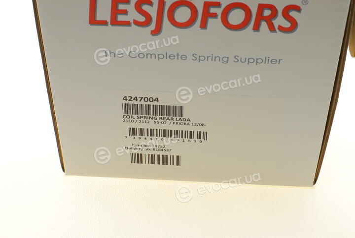 Lesjofors 4247004