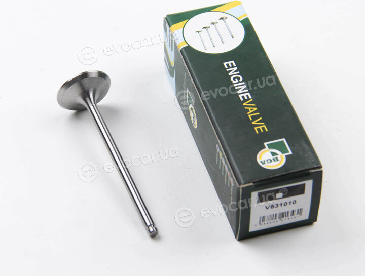 BGA V531010