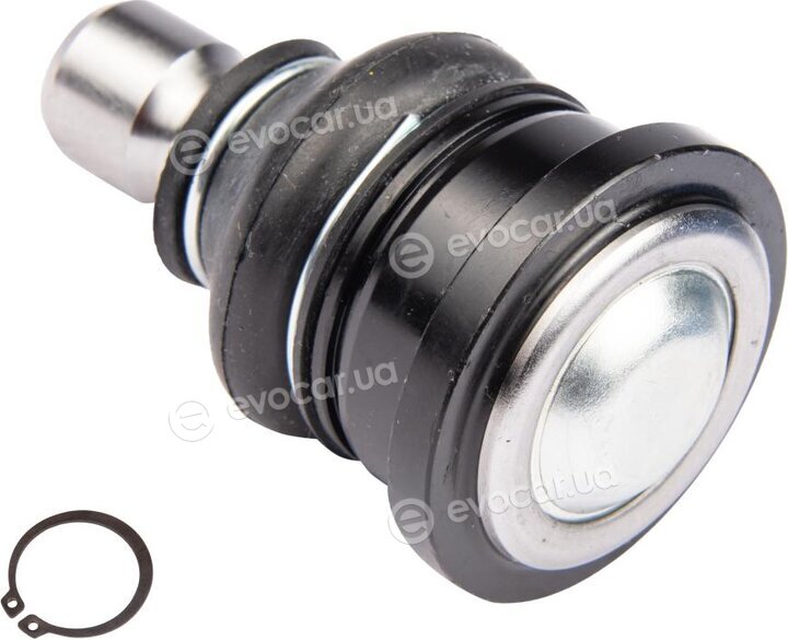 Raiso RL830079C