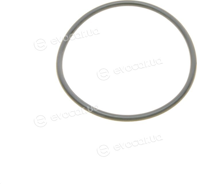 Borsehung B10519