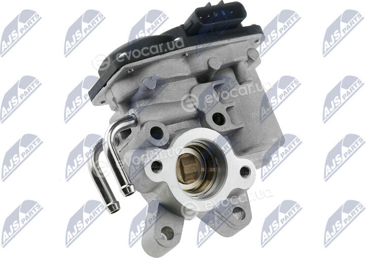 NTY EGR-NS-003