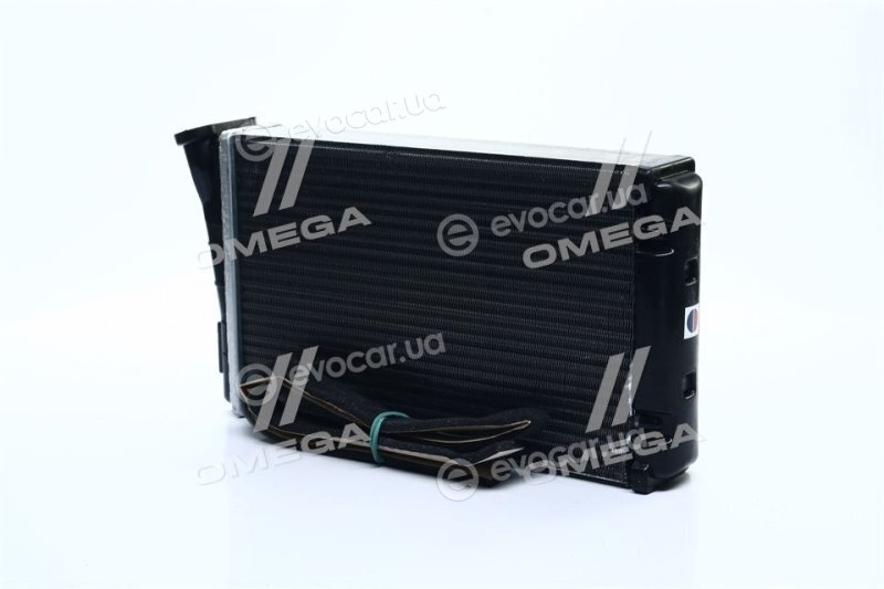 AVA OL6196
