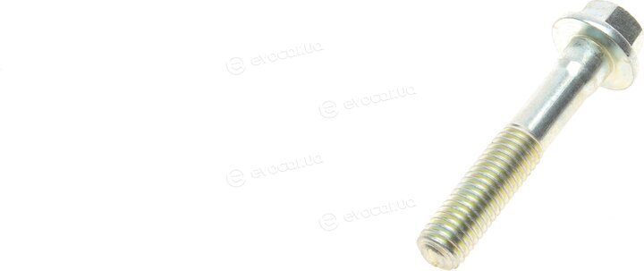 Solgy 202105