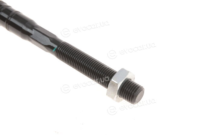 Solgy 205066
