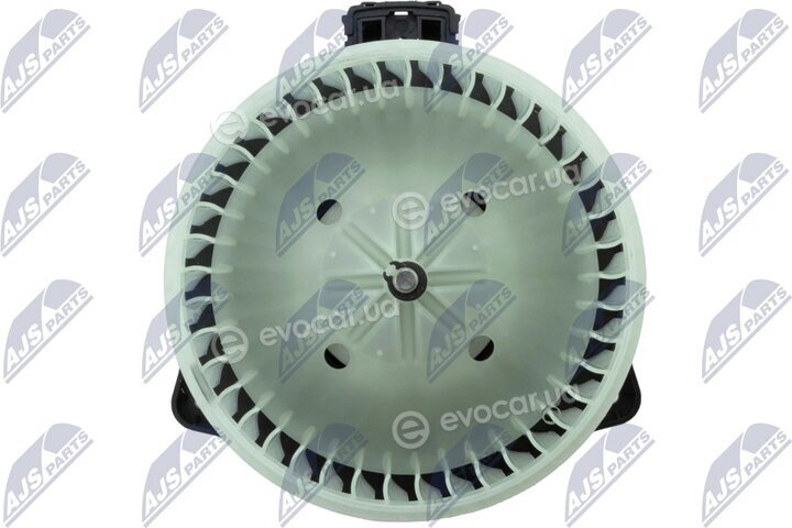 NTY EWN-SB-002