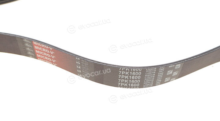 Gates 7PK1600