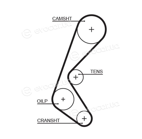 Gates 5628XS