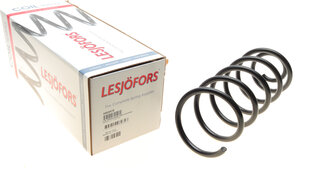 Lesjofors 4263472