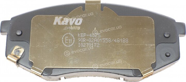 Kavo KBP-4025