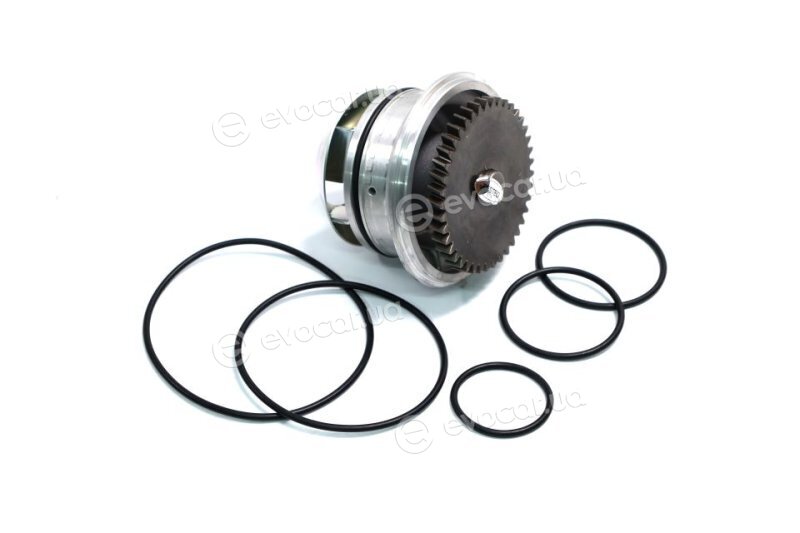 Metelli 24-1010
