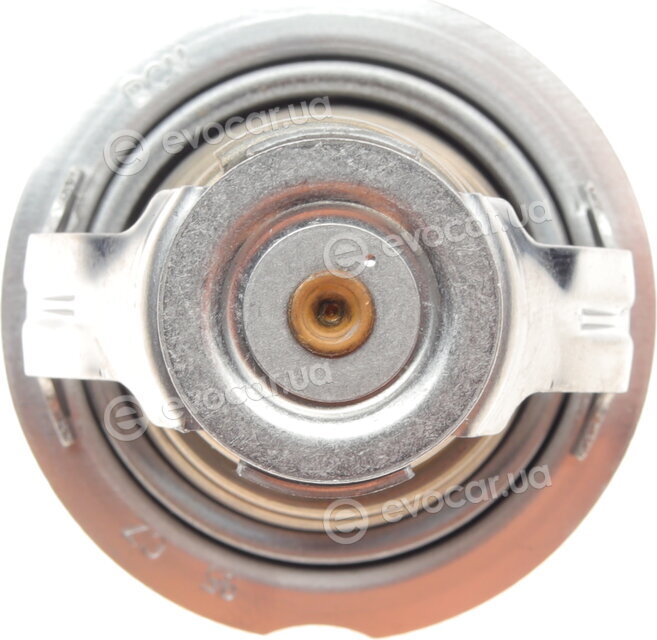 Mahle TX 123 95D