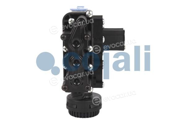 Cojali 2209442