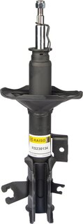 Raiso RS230134