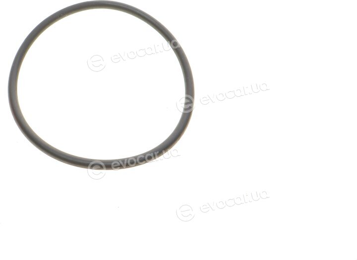 Mahle OX 982D